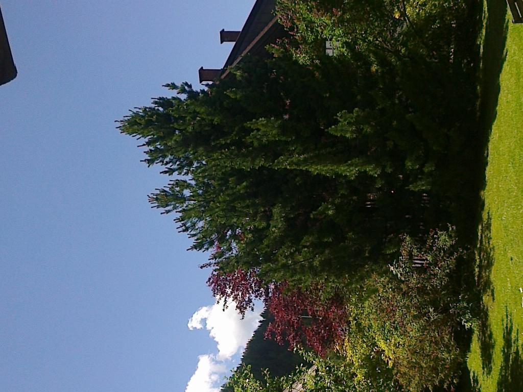 Ferienhaus Zipfmatl Keusche Bad Kleinkirchheim Luaran gambar